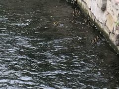 -水磨沟公园