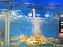 -海味当家·蒸锅海鲜(星海公园店)