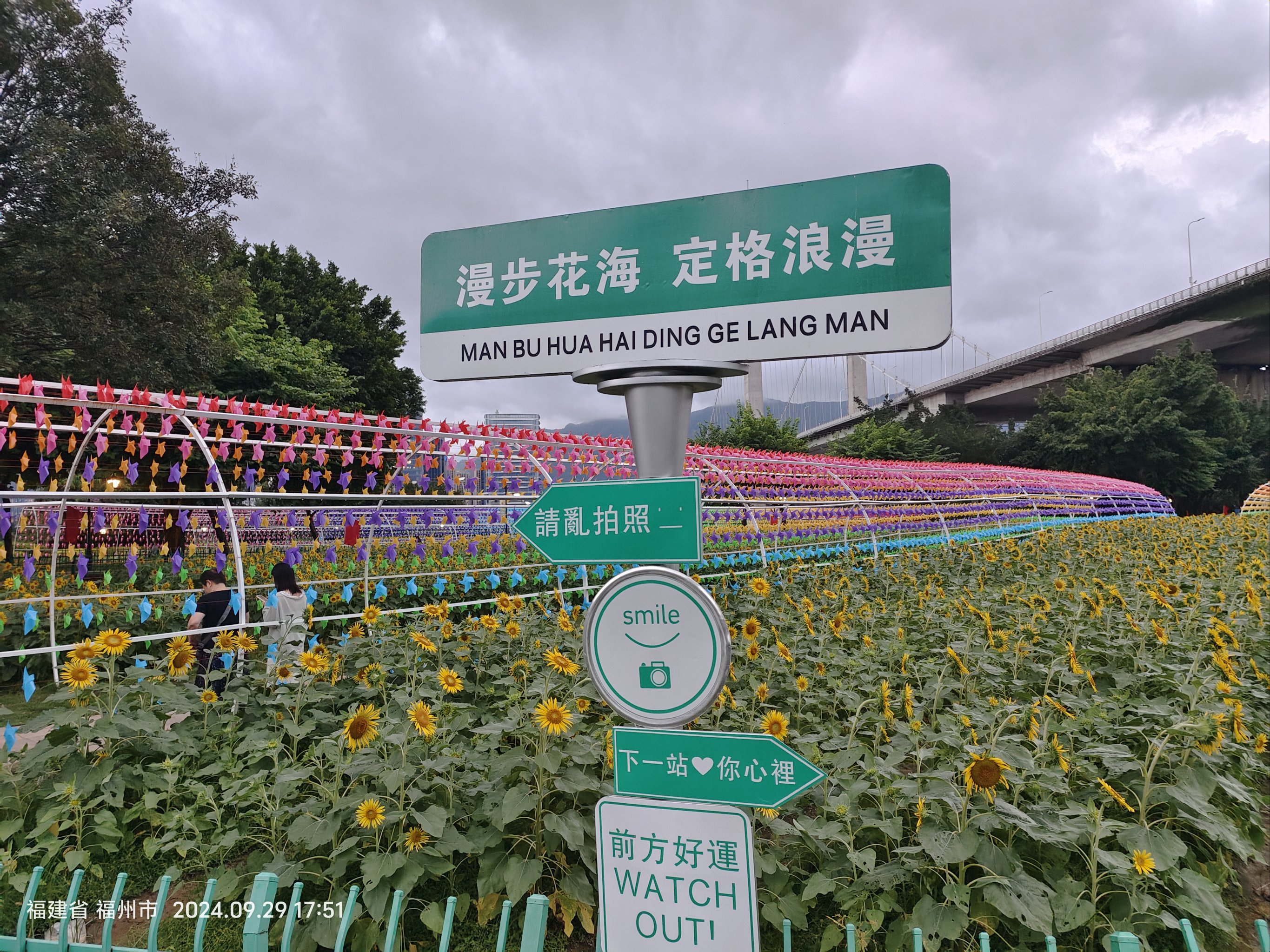 福州花海公园美食节图片