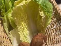 -同仁四季椰子鸡(福田东园总店)