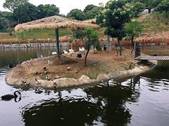 -泉州海丝野生动物世界