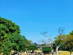 -江心屿景区