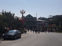 -打洛口岸