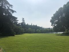 -西湖游船