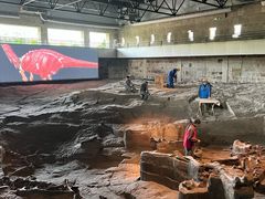 -自贡恐龙博物馆