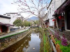 -绩溪龙川景区