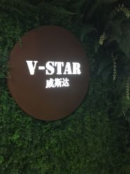 点击看大图 -V-STAR威斯达•高级私人定制
