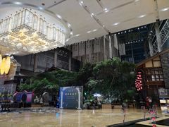 -成都世纪城天堂洲际大饭店