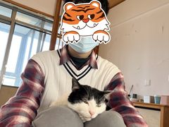 -猫在这儿猫咪咖啡馆·撸猫馆