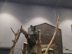 -未来动物城动物主题公园(大悦城店)