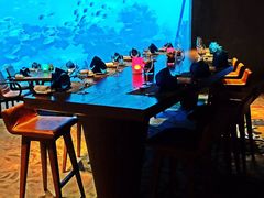 -海棠湾洲际-涛·海底餐厅·美人鱼·自助餐·海底隧道
