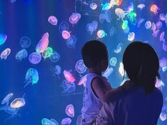 -海合安成都极地海洋公园