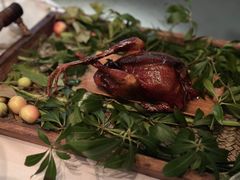 -蝶舍·MAISON PAPILLON