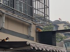 -餐酒吧Com-ing Bar(上海路店)