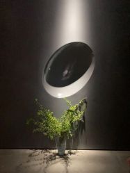 -美壹生皮肤管理中心