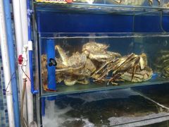 水产区-蚝专家(北滘店)