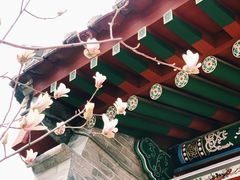 -迎泽公园