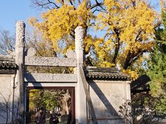 -苏州文庙(姑苏区)