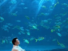 -三亚海昌梦幻海洋不夜城