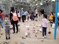 -呀路古热带植物园