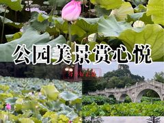 -雀儿山公园