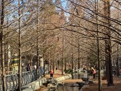 -白水寺森林公园