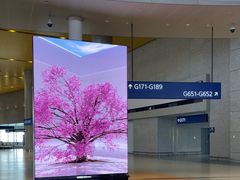 -上海浦东国际机场-T2航站楼