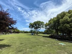 -上海滨江森林公园