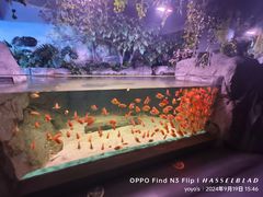 -常州海昌海洋探索馆