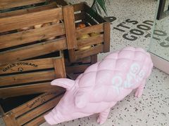 -WHEN PIGS FLY当猪飞