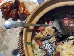 -鸽小宝(深圳首店)