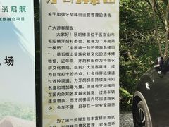 -牙胡梯田