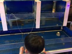 -上亿烧烤海鲜大咖(承德路店)