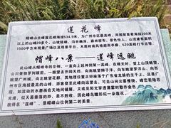 -广州市帽峰山景区