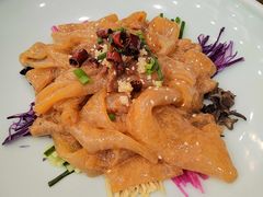 五彩拉皮-红菜坊·烤鸭·川鲁宴(石园店)