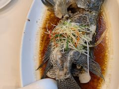 -海宝酒家(中山四路店)