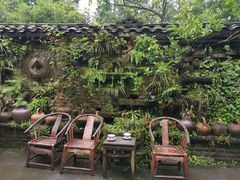 -青城甲(青城山店)