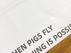 -WHEN PIGS FLY当猪飞
