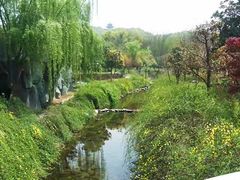 -白马涧龙池景区
