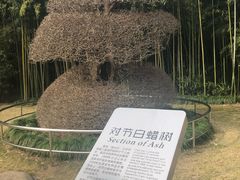 -苏州河梦清园环保主题公园