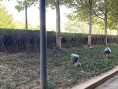 -天津自然博物馆