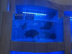 -大榭国际大酒店-中餐厅