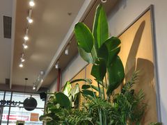 大堂-Wagas沃歌斯(汇智店)