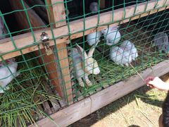 -明珠湖天鹅苑·农家菜馆