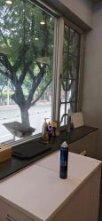 -维卡 Salon
