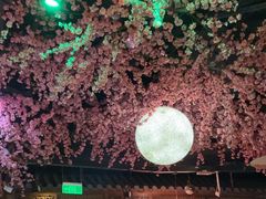 -韵秋荷(宝山龙湖天街店)