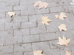 -新疆喀什烤肉饭店(红松路店)