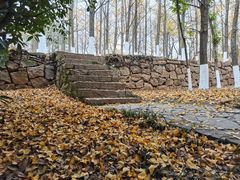 -白马涧龙池景区
