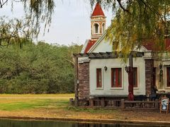 -上海共青森林公园