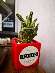 -BOF HAIR BY HONTO